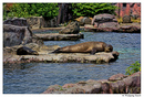 Fotos_Zoolandschaften