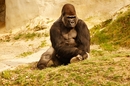 Fotos_Zoolandschaften