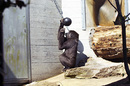 Fotos_Zoolandschaften