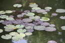 Fotos_Zoolandschaften