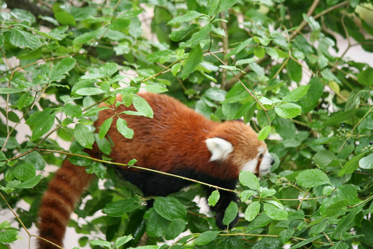Das ist ein Leben !SCHÖÖÖN