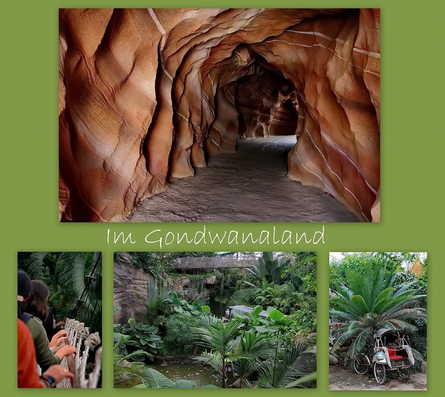 Im Gondwanaland