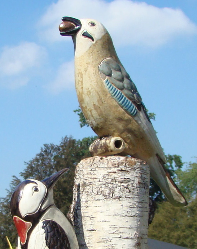 ein Späher dieser Häher