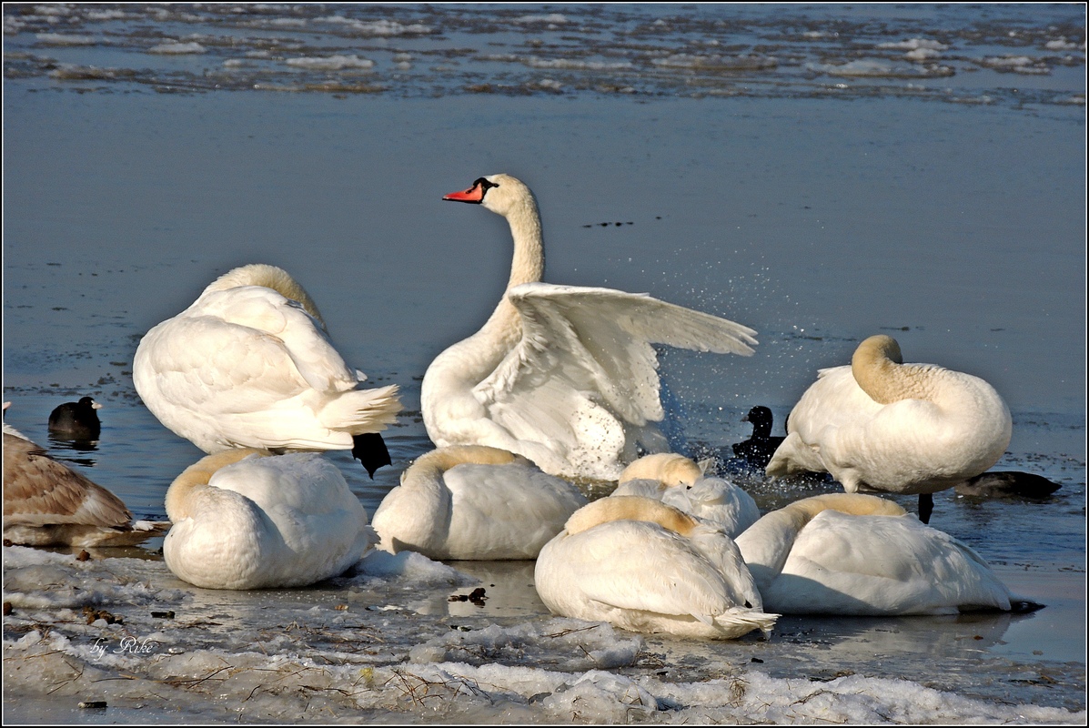 Aufwachen ihr Schlafmützen :-)
