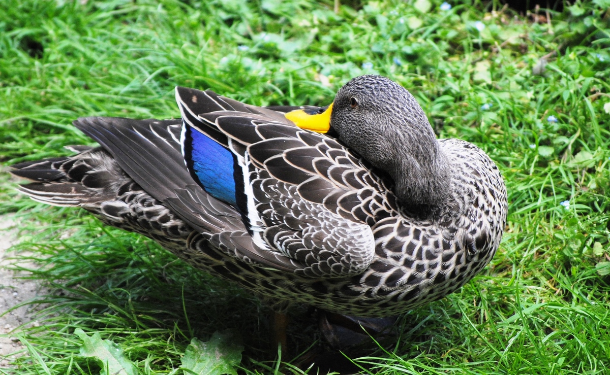 Monnem: Luisenpark II.