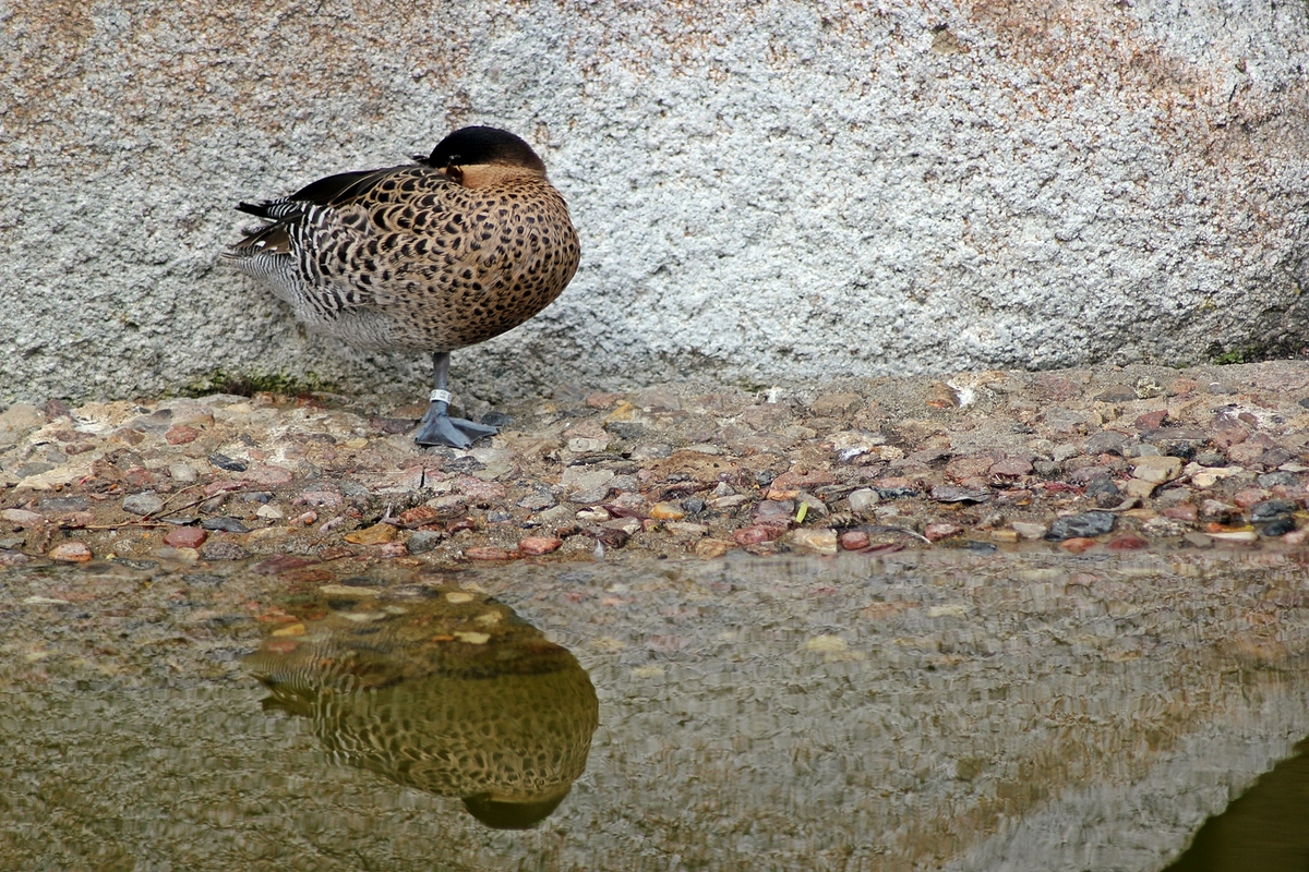 Mittagspause