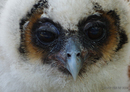 Neunkircher Zoo