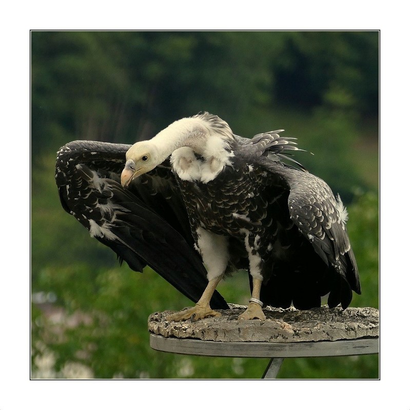 vor dem Abflug