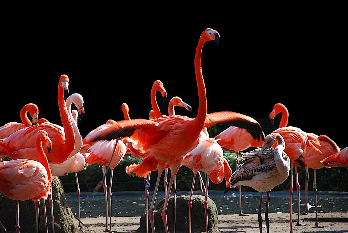 Schaut an wie groß ich bin!