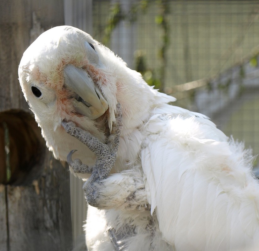 Hm oh man lasst mich mal überlegen was wollte ich hier nochmal??