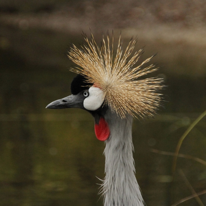 Tierpark 