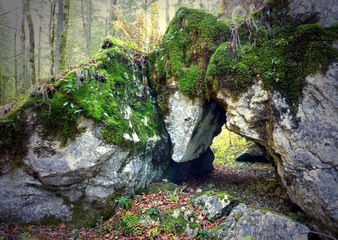 Kampf der Giganten