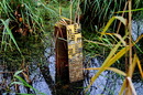 Wasserstand....