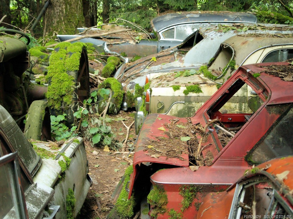 Friedhof der .............