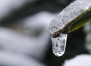 Fotos_Eis, Eiskristalle, Schnee 