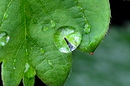 Regentropfen
