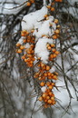 Fotos_Schnee