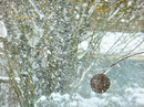 Fotos_Schnee