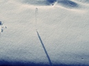 Fotos_Schnee