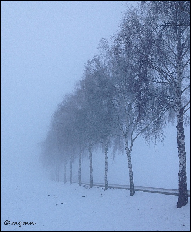 Benebelter Weg nach Hause :)