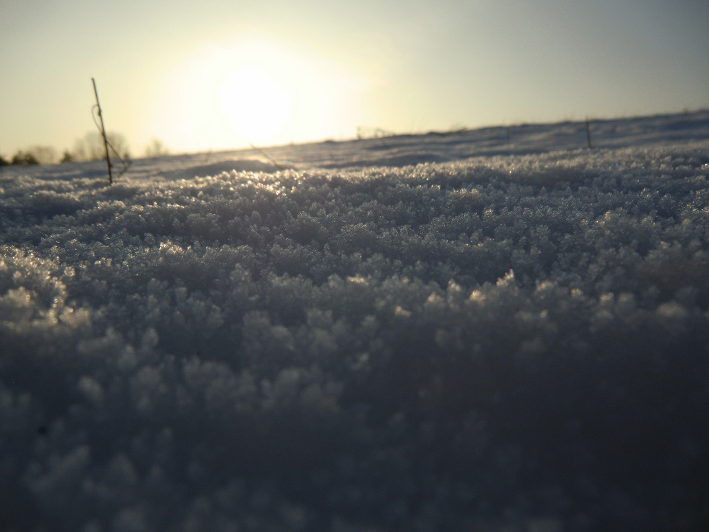 ein Winterbild 