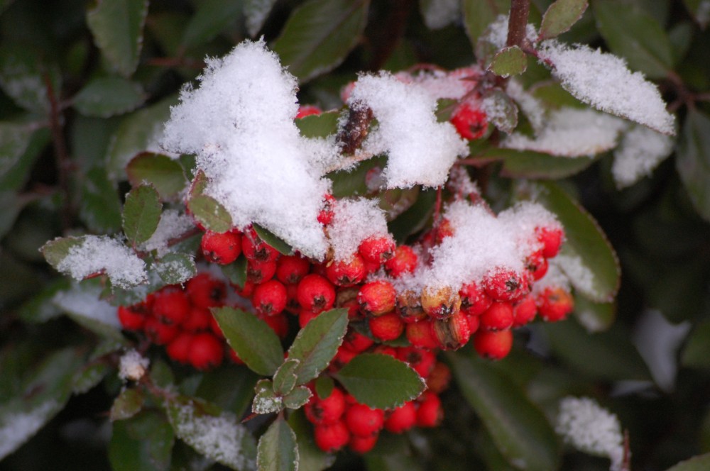 Ein Morgen in Hamburg