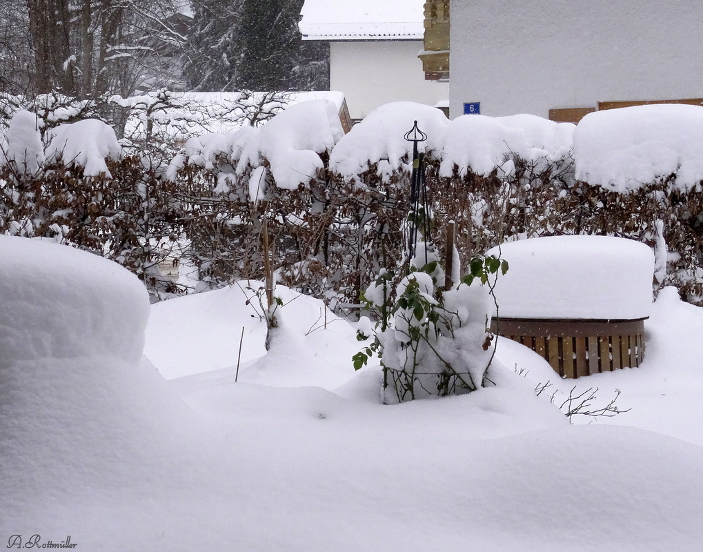 Nichts geht mehr im Garten!