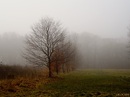 Fotos_Nebel