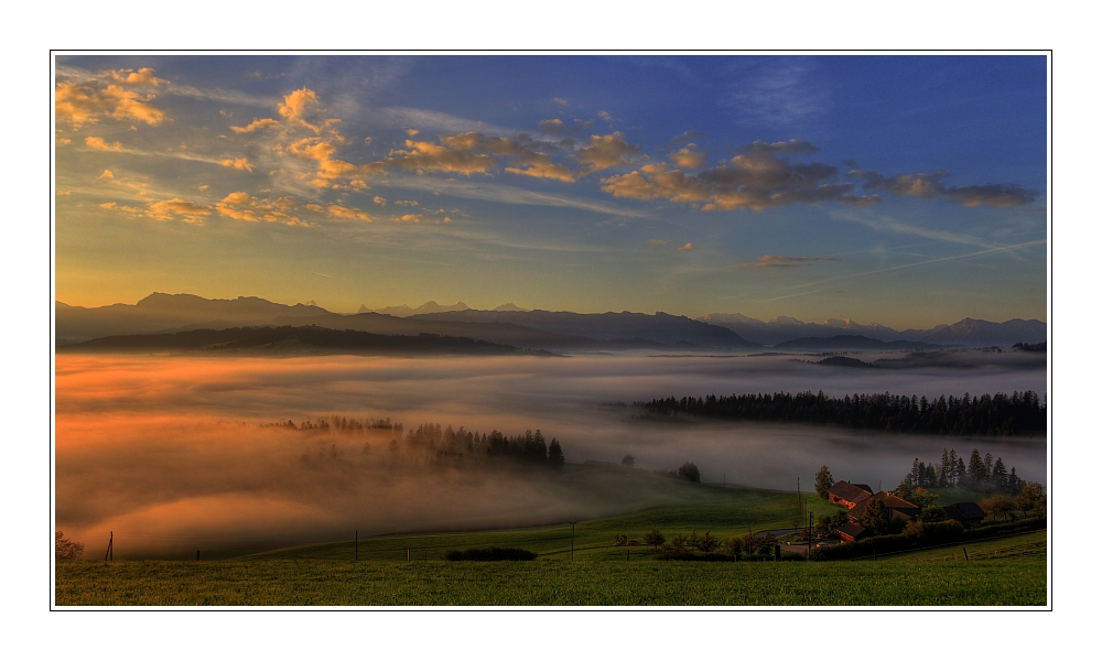 ~ g e n i e s s e n ~