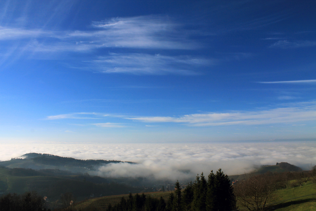 Nebelmeer in der Ortenau