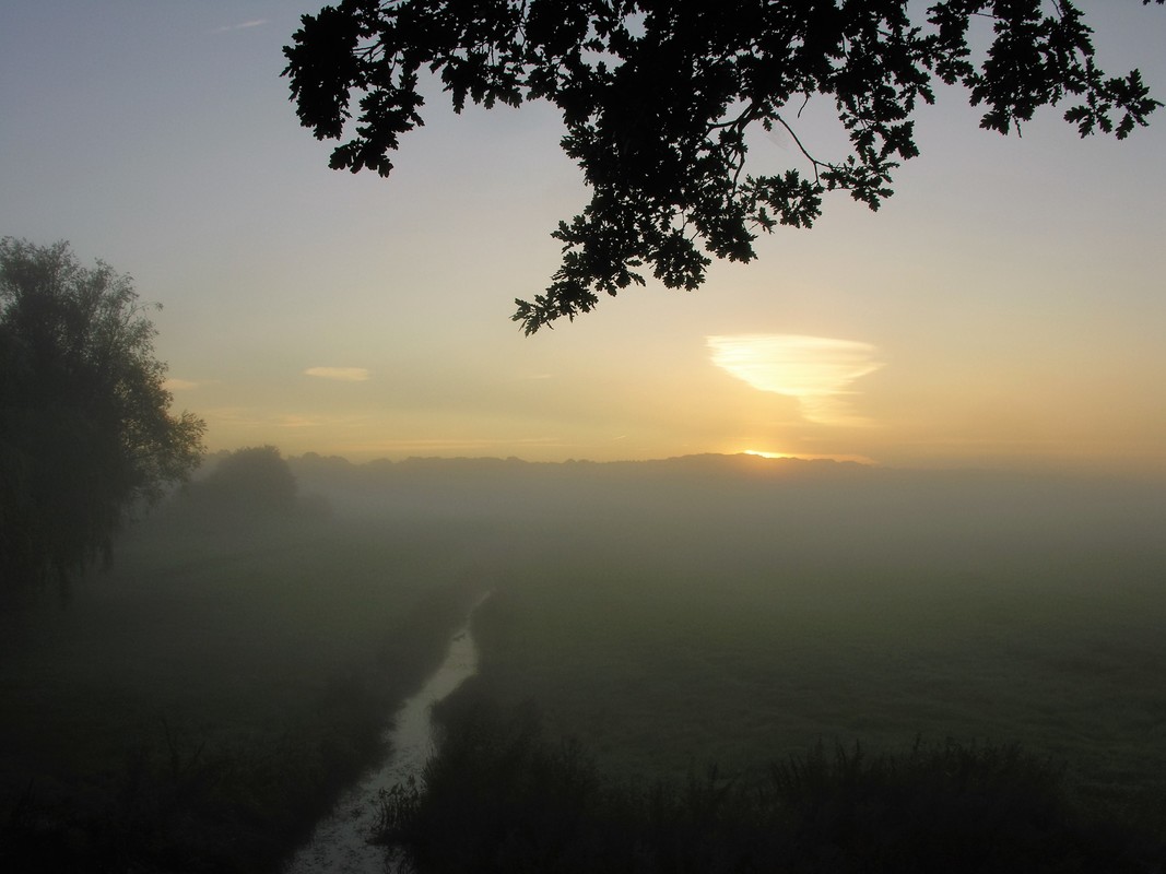 Leichter Nebelschleier