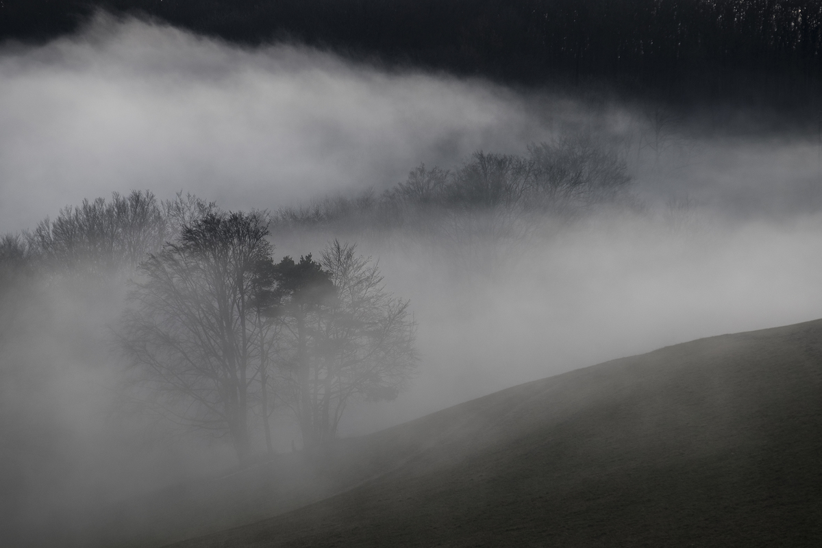 Wenn Nebelschwaden ziehen . . .