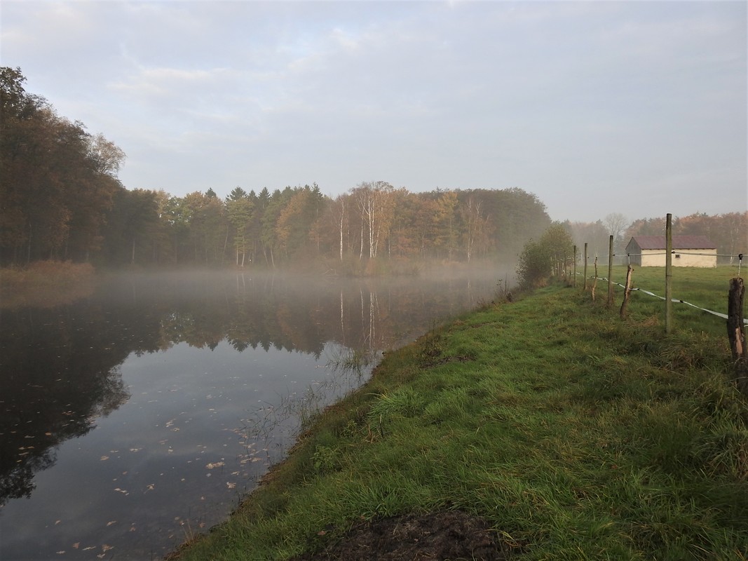 Leichter Morgennebel