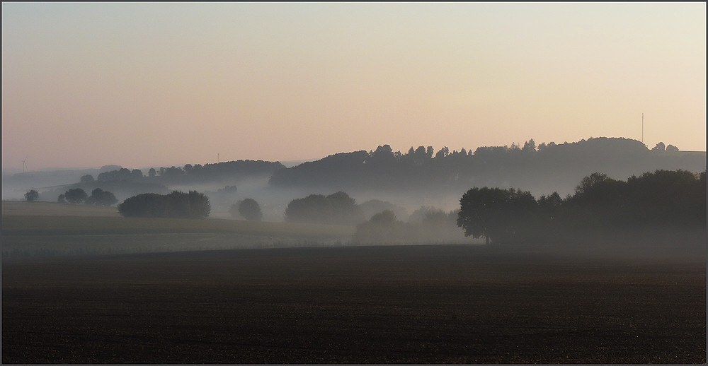 Morgennebel