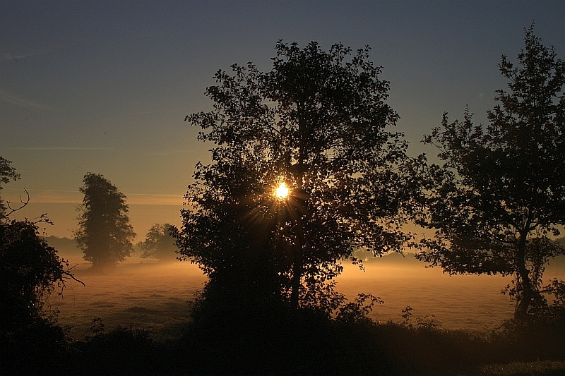 Morgenstund  ...........