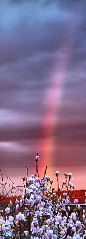 Regenbogen