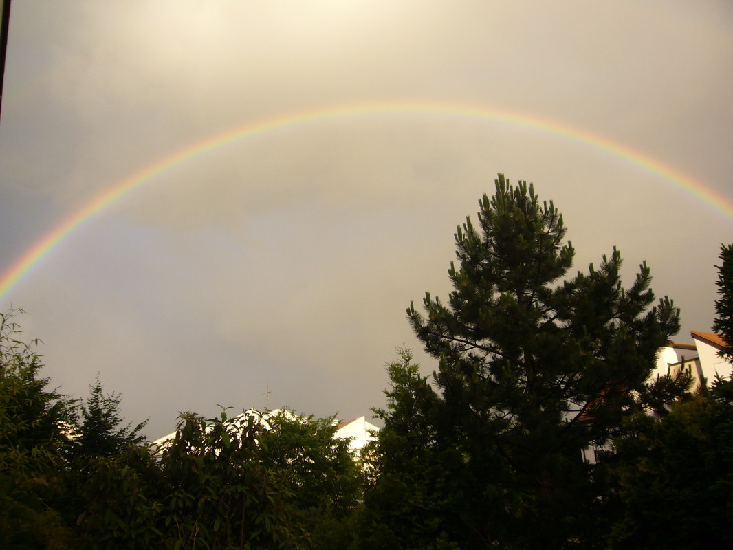 Regenbogen 
