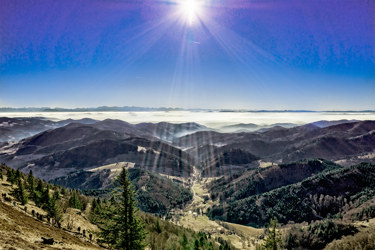 Schwarzwald im Winter