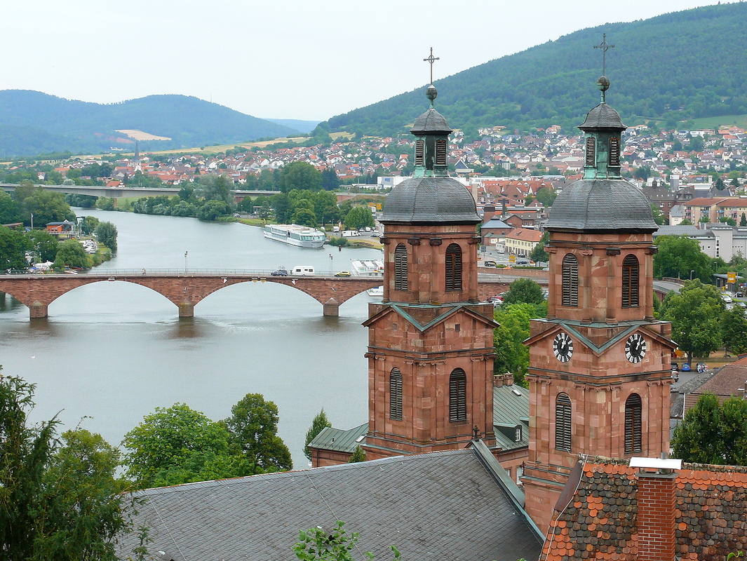 Blick auf den Main
