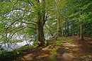 Wanderweg