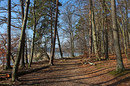 Frühling am  See
