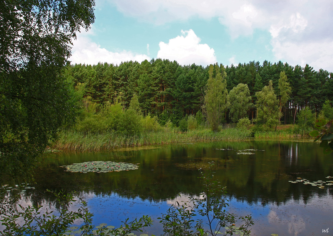 Märkische Seen -kleiner Waldsee bei Velten 