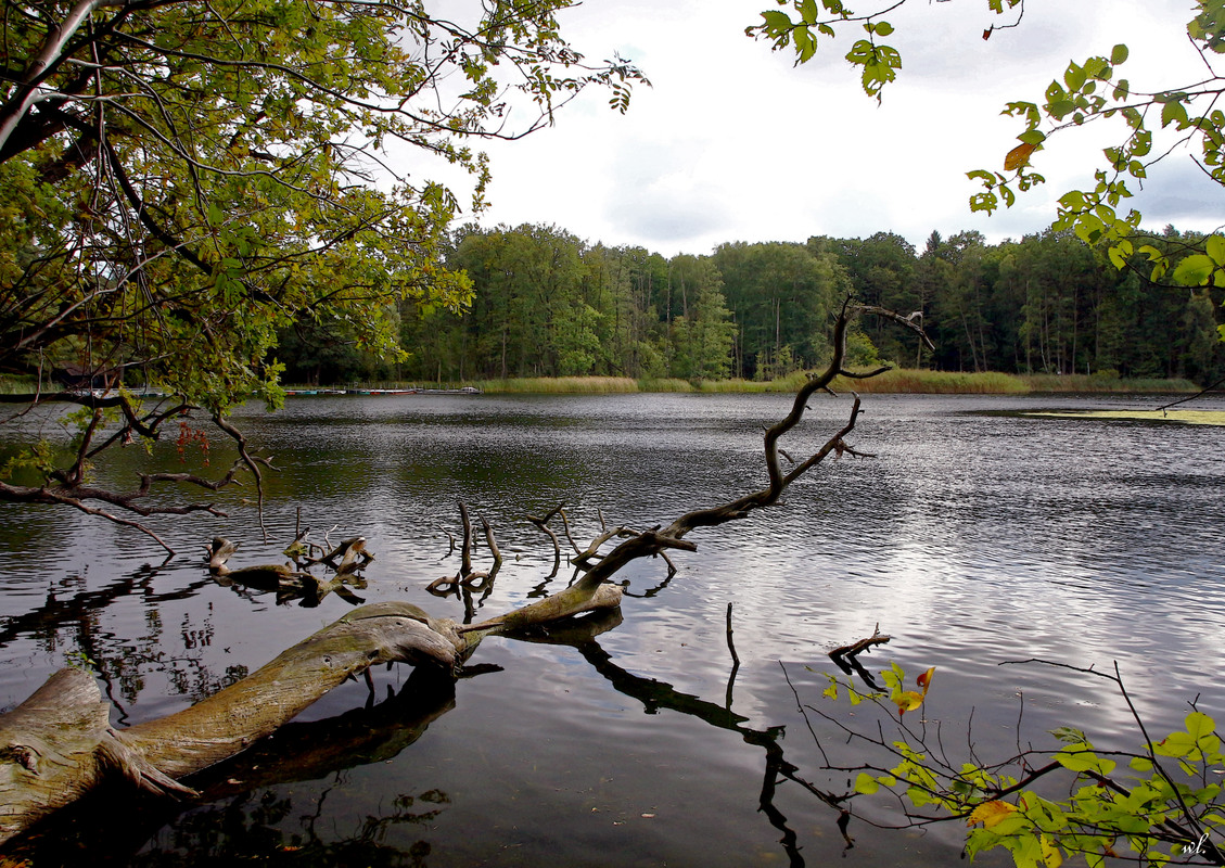 Märkische Seen - der Grabowsee