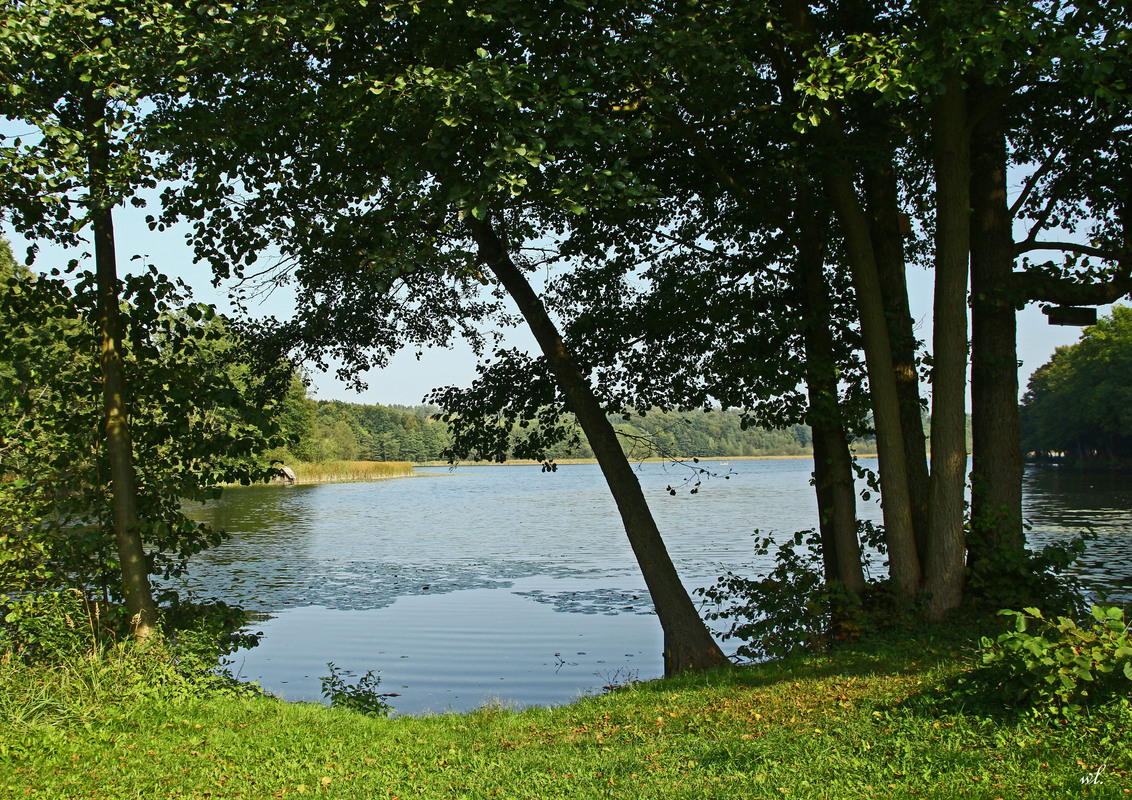 am Dagowsee bei Neu Globzow