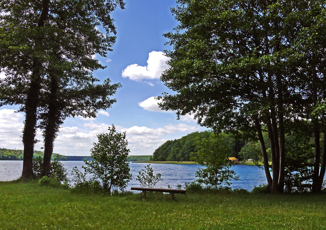 am Grossen Stechlinsee 2
