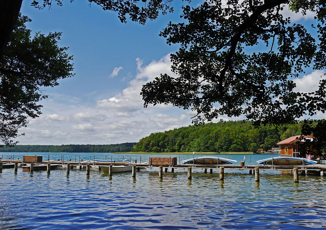 am Grossen Stechlinsee 3