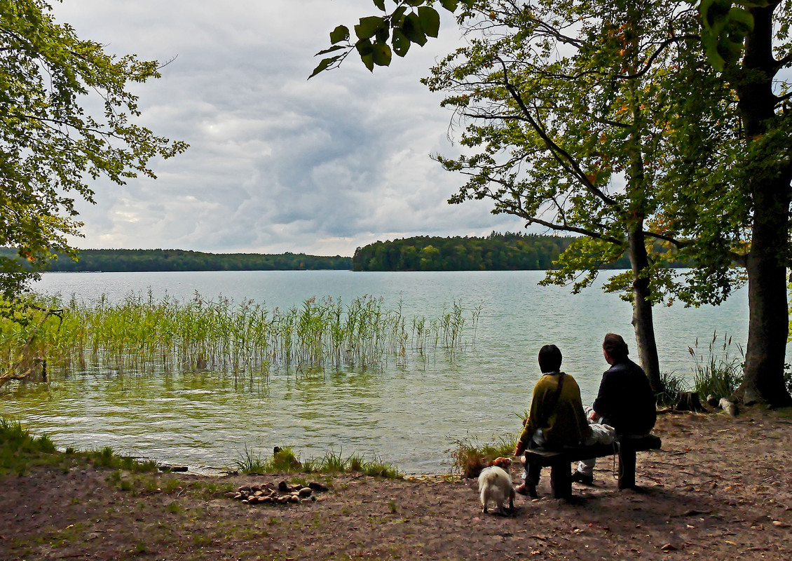 am Grossen Stechlin See