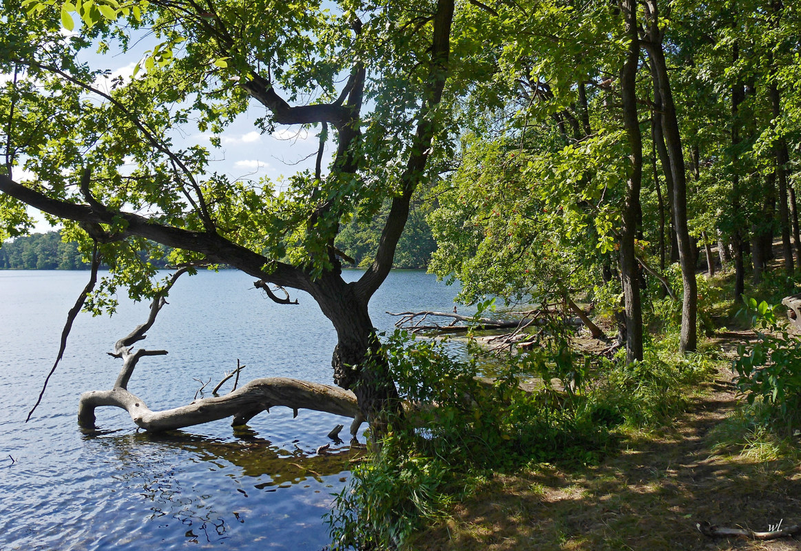 Weg am Grabowsee