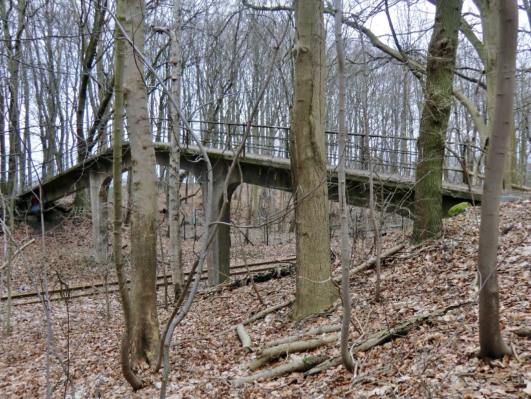 Brücke
