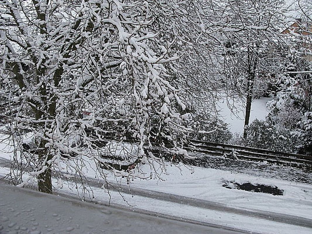 Winter am 17. Januar 2016 in Vechelde